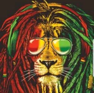 Meet your Posher, Malorie